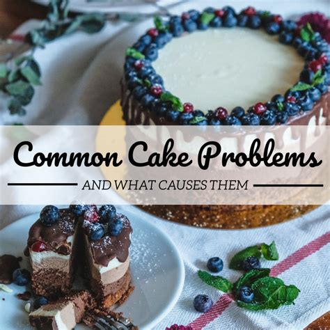 Image result for Cake Cooking Problems