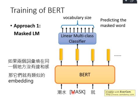 Bert Model 的图像结果
