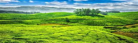 Ooty Holiday Packages