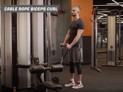 Cable Rope Biceps Curl (Rope Bicep Curl on Cable) - MACFit