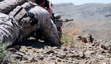 Navy SEAL Sniper Wallpapers - Top Free Navy SEAL Sniper Backgrounds ...