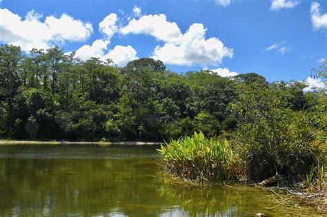 Tradewinds Park and Stables