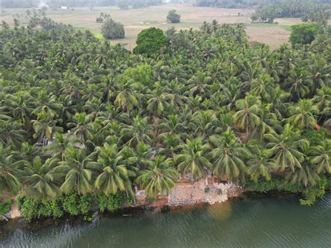 Explore the riverside Camping with Girigiri