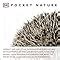 Buy Pocket Nature Wildlife of Britain: A Unique Photographic Guide to ...
