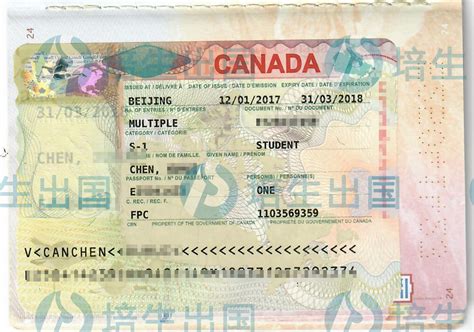 出国探亲使用的亲属关系公证书在哪办？ - 知乎