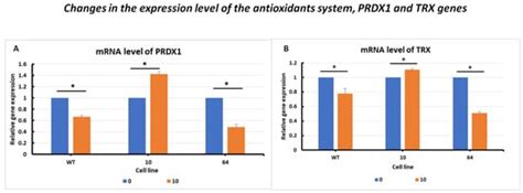 Compensative Resistance to Erastin-Induced Ferroptosis in GPX4 Knock ...