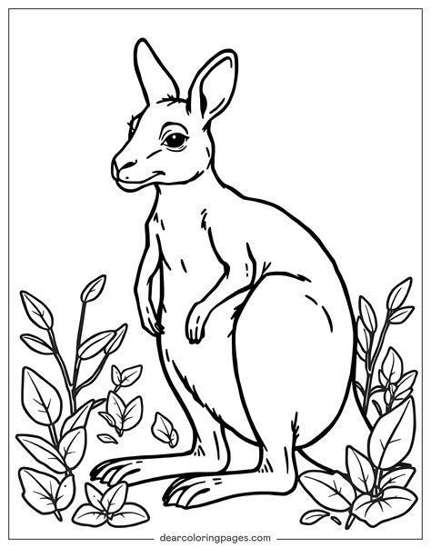 Kangaroo Coloring Pages - 14 Free Printable Coloring Pages