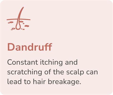 Get Free Hair Test Online – Personalized Hair Diagnosis – Traya