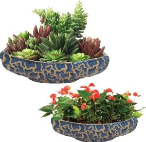INDIA MEETS INDIA Plant Container Set Price in India - Buy INDIA MEETS ...