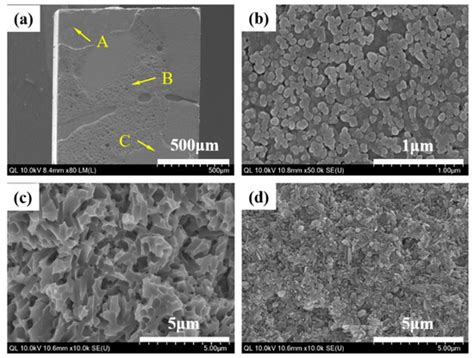 Materials | Special Issue : Dental Implant Materials 2019