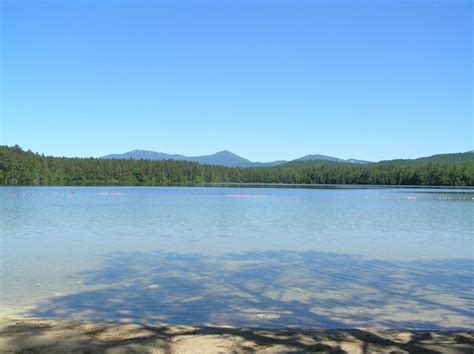 White Lake Campground Tamworth NH: Camping & Recreation