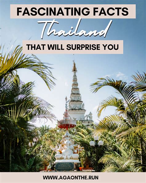 21 fascinating facts about Thailand that will surprise you - Aga on the run