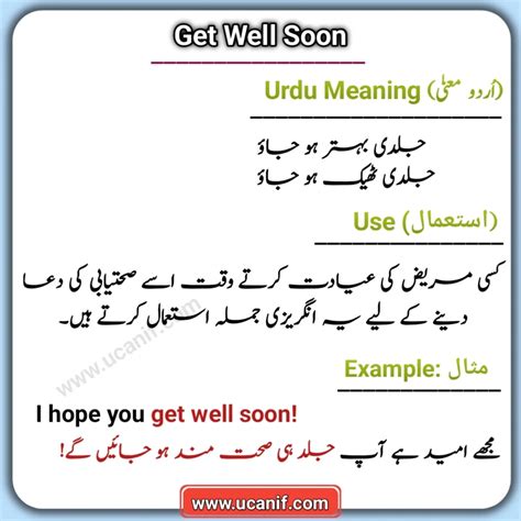 Urdu Meanings - You Can