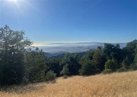Fremont Peak State Park Camping | The Dyrt