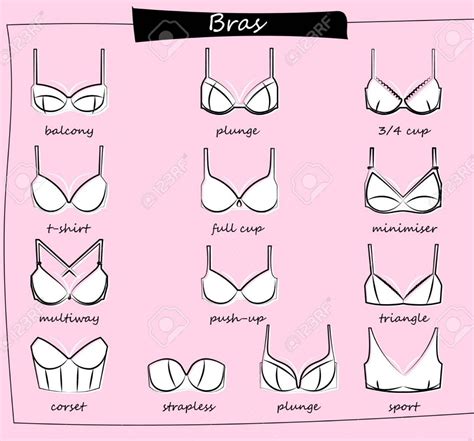 A guide to bra styles seams and shapes – Artofit