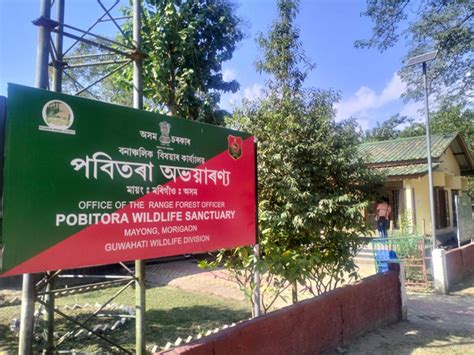 Assam's Pobitora Wildlife Sanctuary sees increased tourist footfall ...