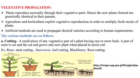 1. Reproduction in Lower and higher plants | PDF