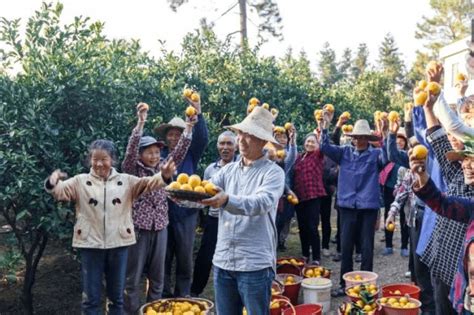 连“杂交水稻之父”袁隆平也称赞的橙子，在电视上卖爆了！ - 美食发现 - 专题|湖南消费一览 - 华声在线专题