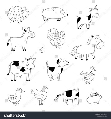 Farm Animal Drawing
