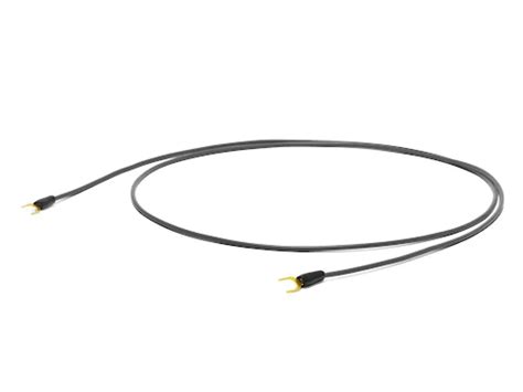 Buy Oyaide PH-01 RR Phono Interconnect Cable — The Audio Co.