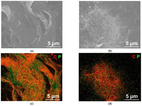Nanomaterials | Special Issue : 70th Year Anniversary of Carbon ...