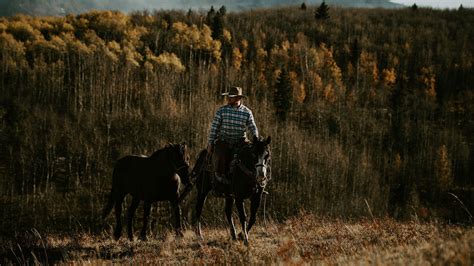 Gallery | The Stampede Ranch