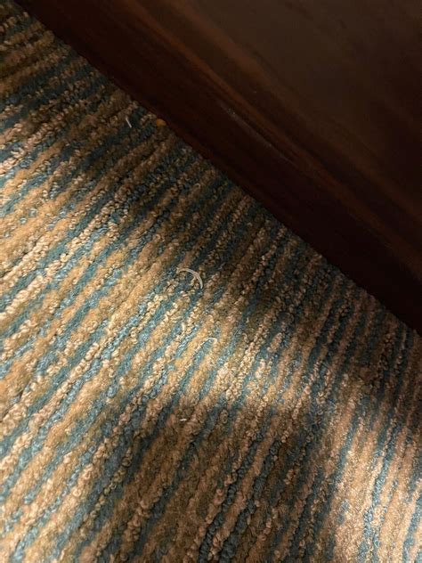 HAMPTON INN RICHMOND - SOUTH - Updated 2025 Prices & Hotel Reviews (VA)