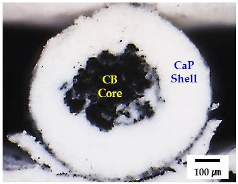 Coextrusion-Based 3D Plotting of Ceramic Pastes for Porous Calcium ...