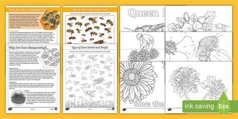 World Bee Day Intermediate Taster Pack