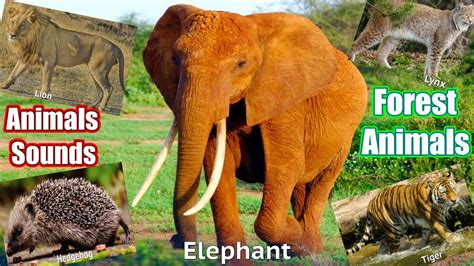 Image result for Popen Python Example