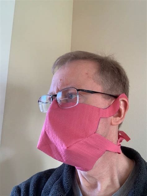 Image result for 5 Minute Face Mask Tutorial