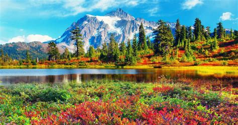 Famous States in USA 的图像结果