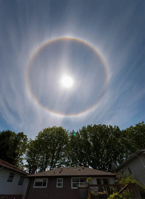 Vancouver Sun Dog (Sundog) or Halo