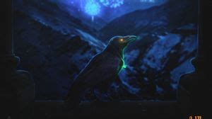Raven wallpapers hd, desktop backgrounds, images and pictures