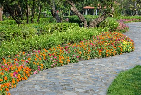 Best Plants For Walkway Borders at Francine Fitzgerald blog