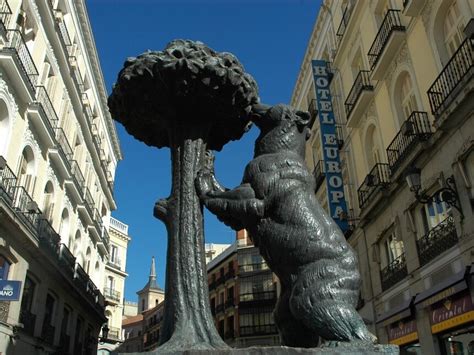 El oso y el madroño | Meer