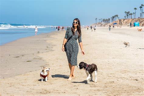 What Beaches Allow Dogs In California