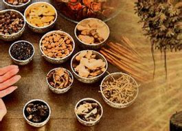 Saptadhatu – The Seven Bodily Tissues – avpayurveda