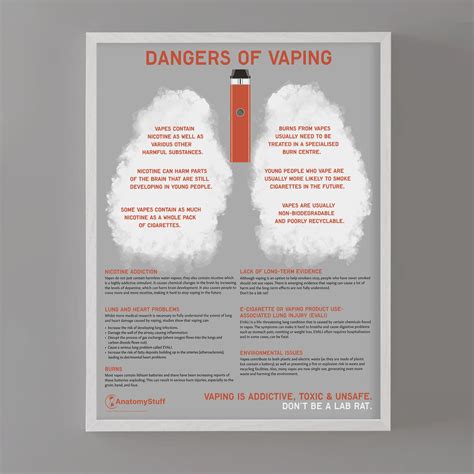 Dangers of Vaping Poster | Chart – AnatomyStuff
