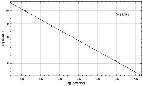 Dynamic Mechanism of Dendrite Formation in Zhoukoudian, China