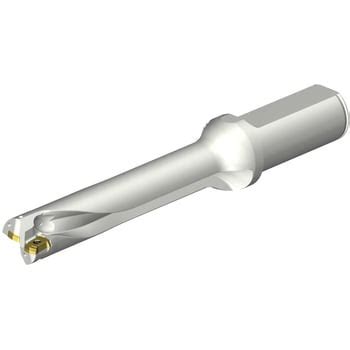DS20-D2062LX25-05 CoroDrill(R) DS20 刃先交換式ドリル 1本 サンドビック 【通販モノタロウ】