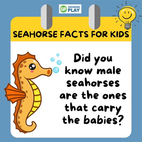 Seahorse Facts For Kids Pictures Information Activities