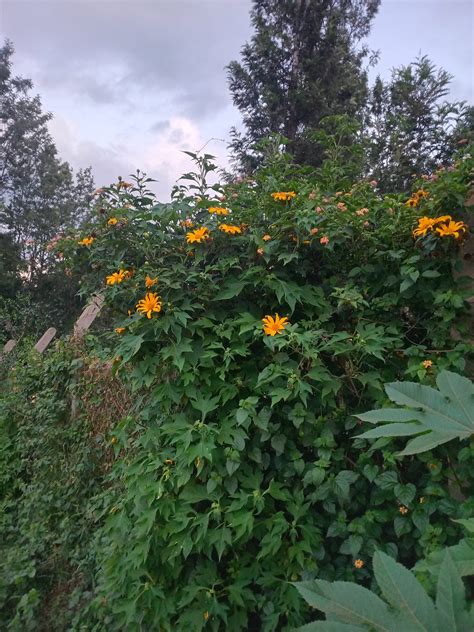 Content vs Context: Simple Guide to Understanding the Difference | by ...