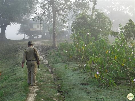 Pobitora Wildlife Sanctuary in Guwahati - Location, Timings, Boat Ride ...