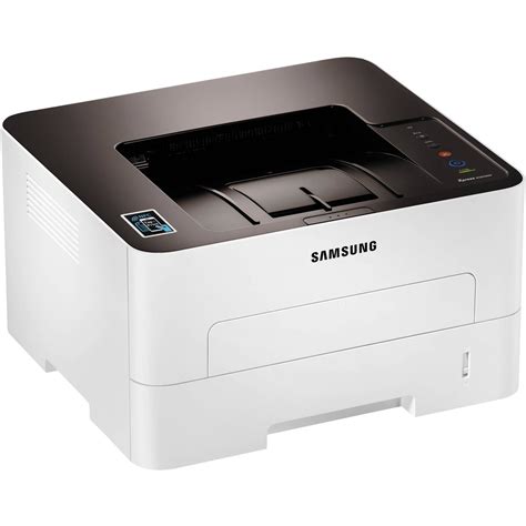 Image result for Topic Sentence Color Code Worksheet Paragraph Examples