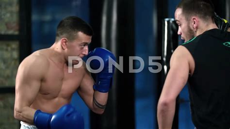 Boxing Knockout Punch 的图像结果