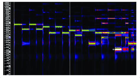 Spectrogram Reader Online PDF 的图像结果