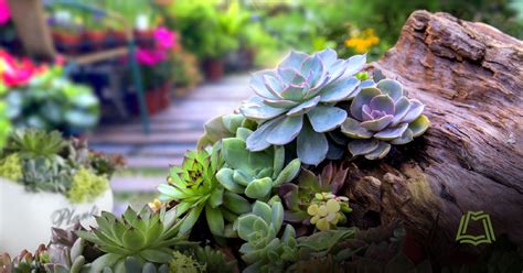Master Gardener Series: Sustainable Landscaping, Cascade Park Community ...