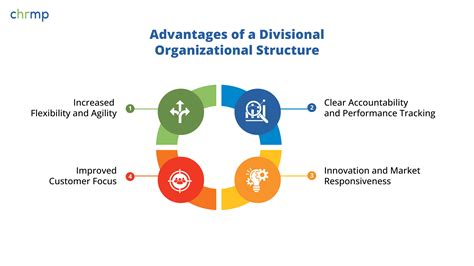 Divisional Structure Model 的图像结果
