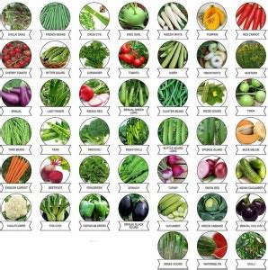 FLARE SEEDS Vegetable Seeds Combo Pack of 45 Varities Seed Price in ...